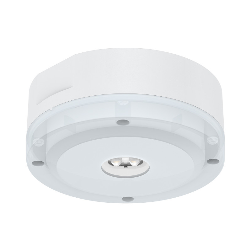 Surface emergency downlight deals