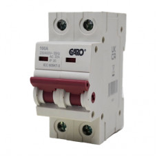 Garo Main Switch DSV2100 100A DP Isolator AC-22A