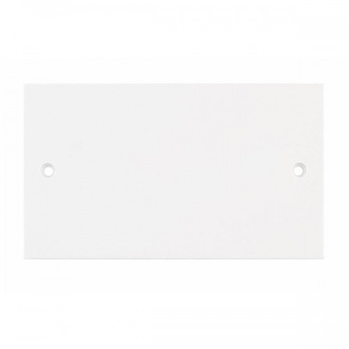 Selectric 2 Gang Blanking Plate