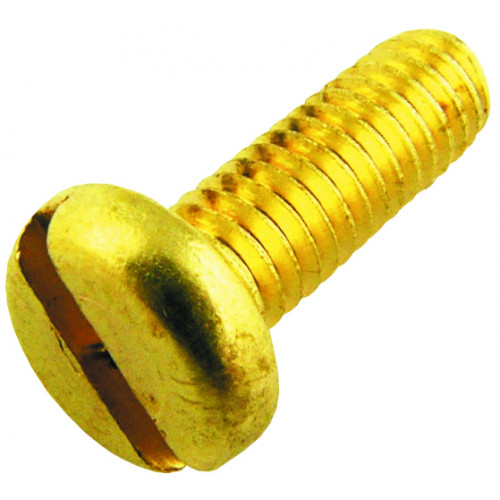 Brass Pan-Head Screw (x100)