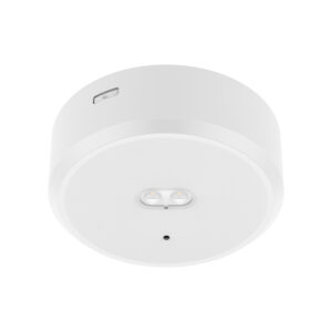 Harled Surface Mounting Emergency Downlight
