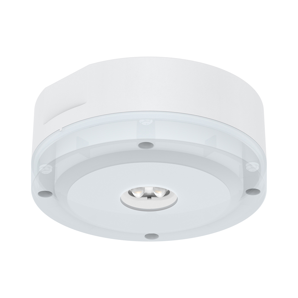 Harled Surface Mounting Emergency Downlight