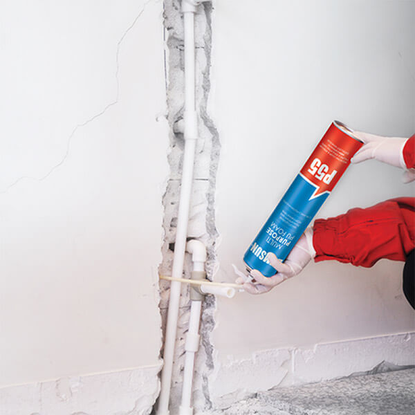 Demsun P55 Fix & Fill Expanding Pu Foam 300ml