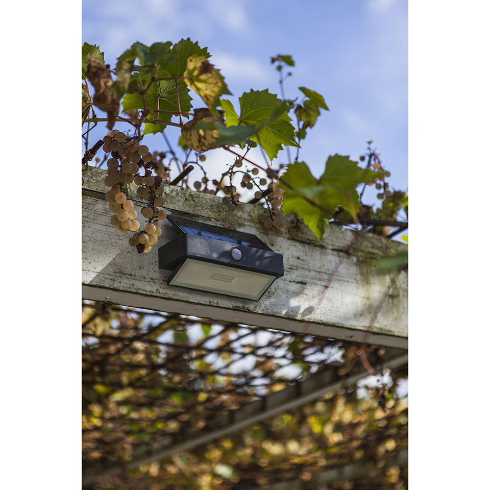 ARROW IP44 INTEGRATED LED SOLAR LIGHT IN DARK GREY 180 LUMEN 5000K