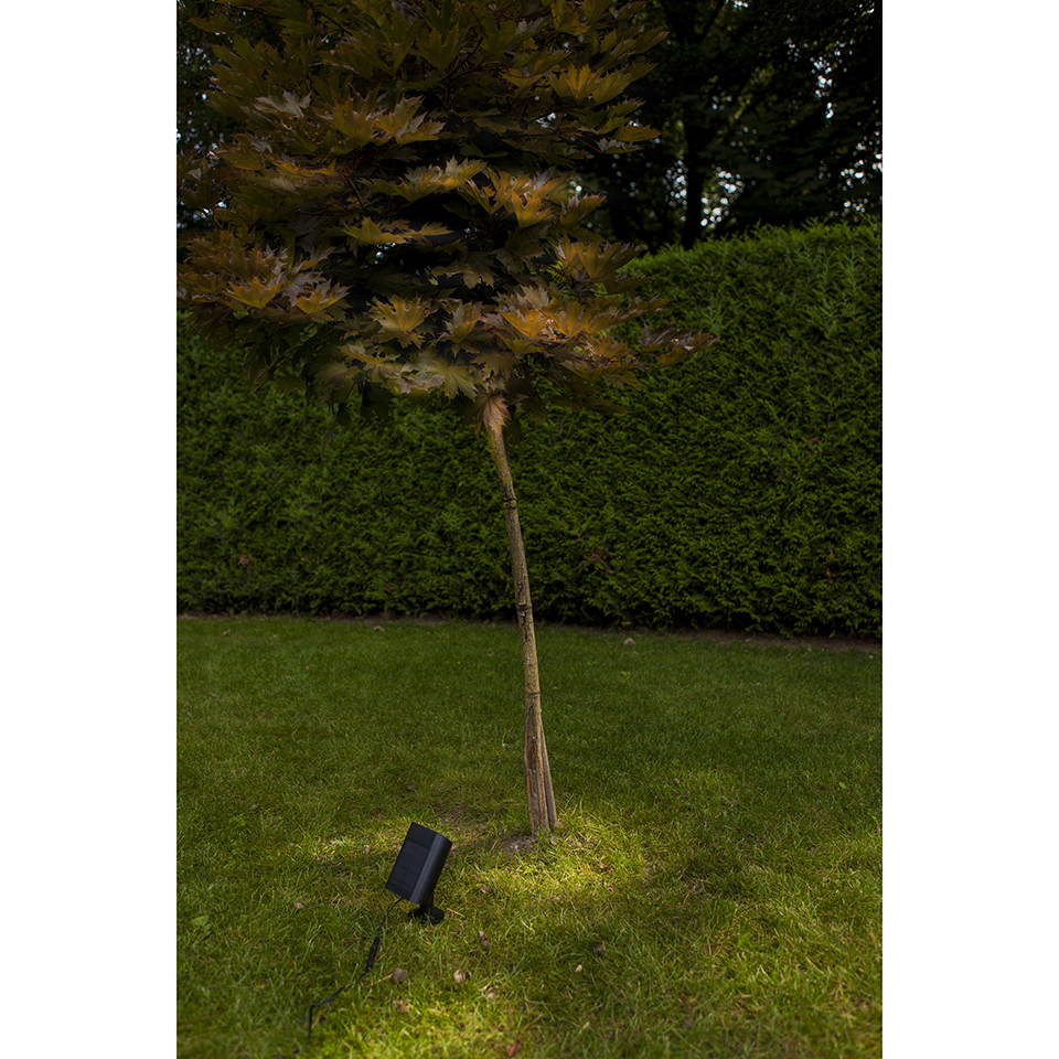 BINGO SOLAR LED SPIKE OR WALL LIGHT PIR BLACK