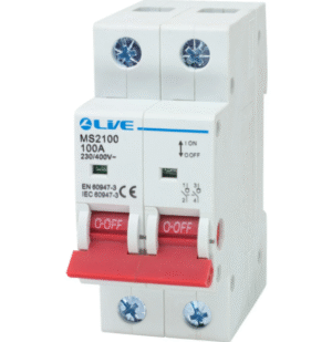 Live MS2100 100A Main Switch DP