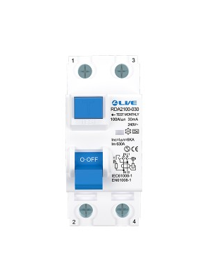 Live RDA2100-030 Double Pole RCD 30mA 100A