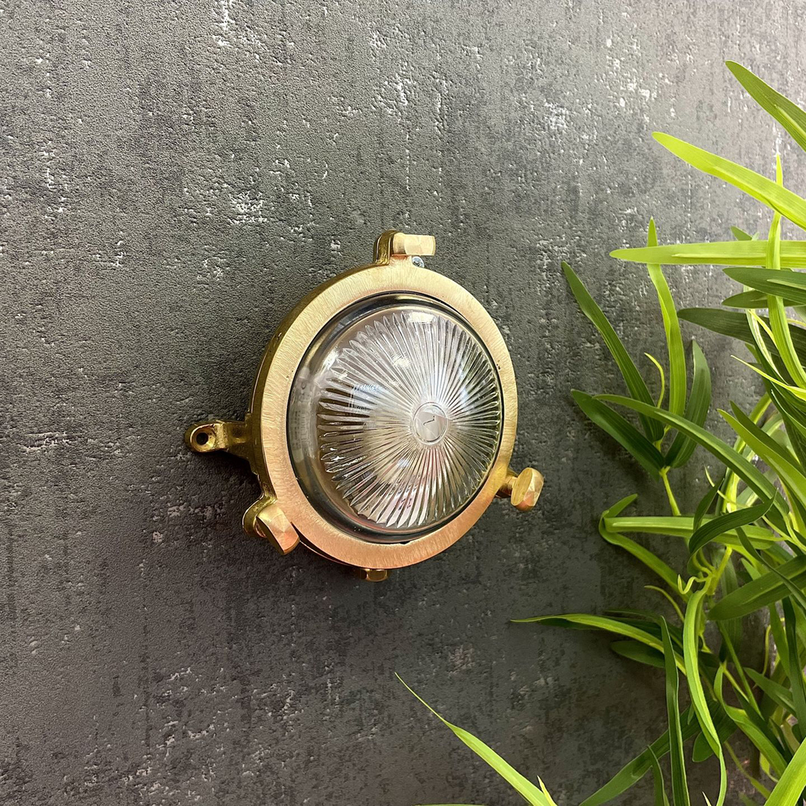Mini Compass Bulkhead Bulkhead (Raw Brass)