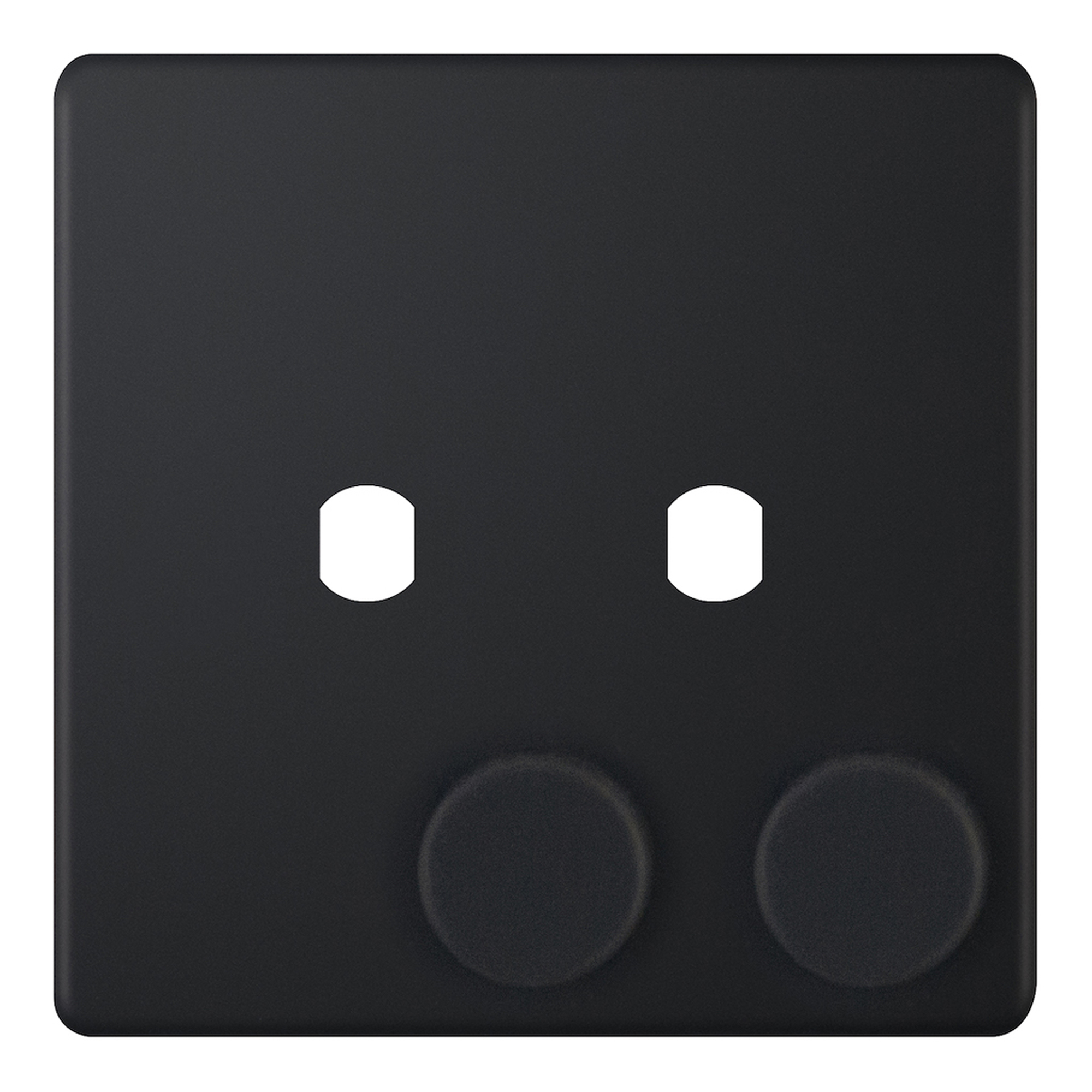 Empty Dimmer Plate - 2 Aperture Plate with Knobs - Range Selectric 5M-PLUS Screwless