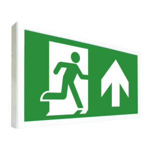 Sentry Emergency Exit Box (Self-Test)
