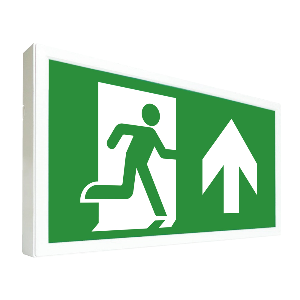Sentry Emergency Exit Box