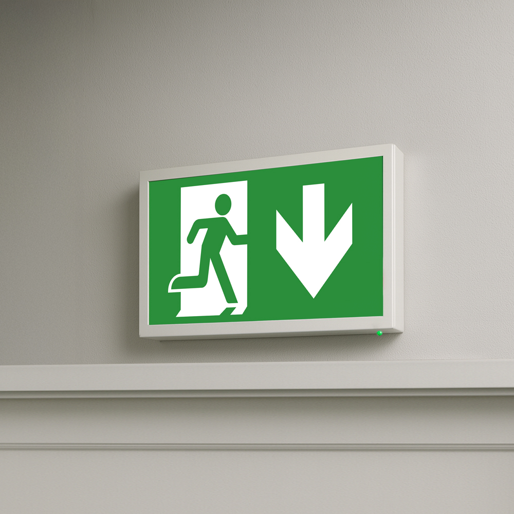 Sentry Emergency Exit Box