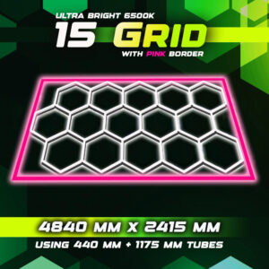 Hexagon Lighting 15 Grid System With Pink Border