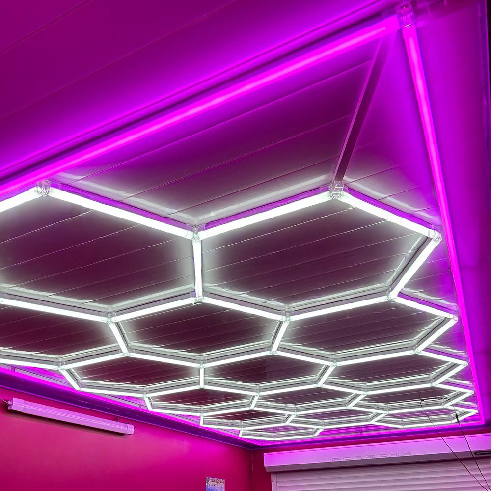 Hexagon Lighting 15 Grid System With Pink Border