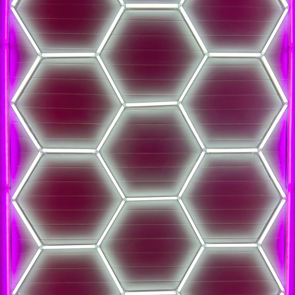 Hexagon Lighting 15 Grid System With Pink Border