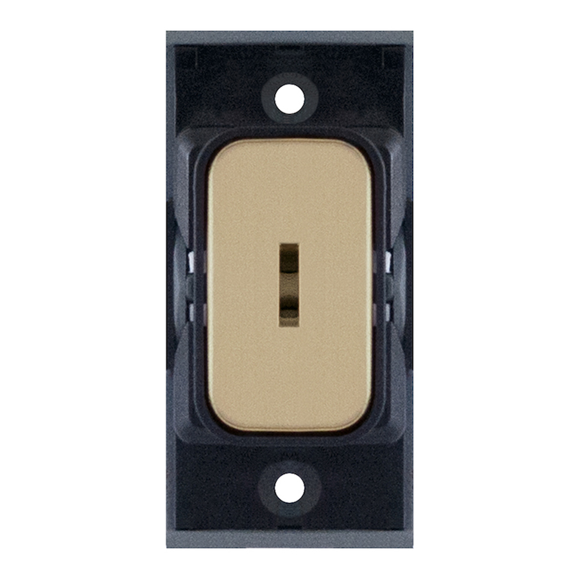GRID360 Module - 10 Amp DP Key Switch -  Selectric GRID360