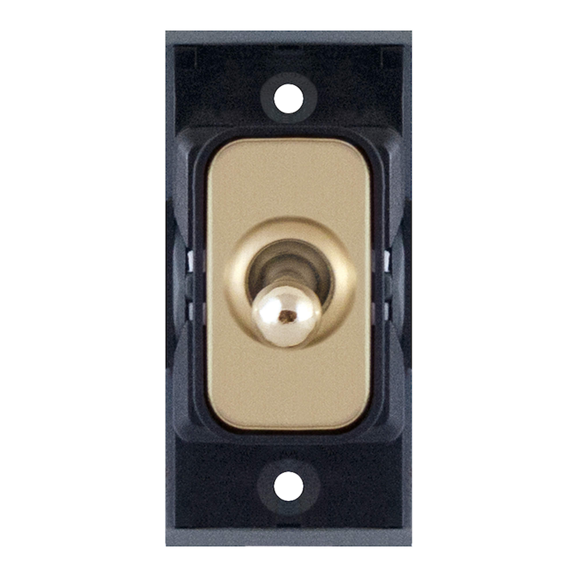 Grid switch module - 10A 2 way toggle switch - Range GRID360