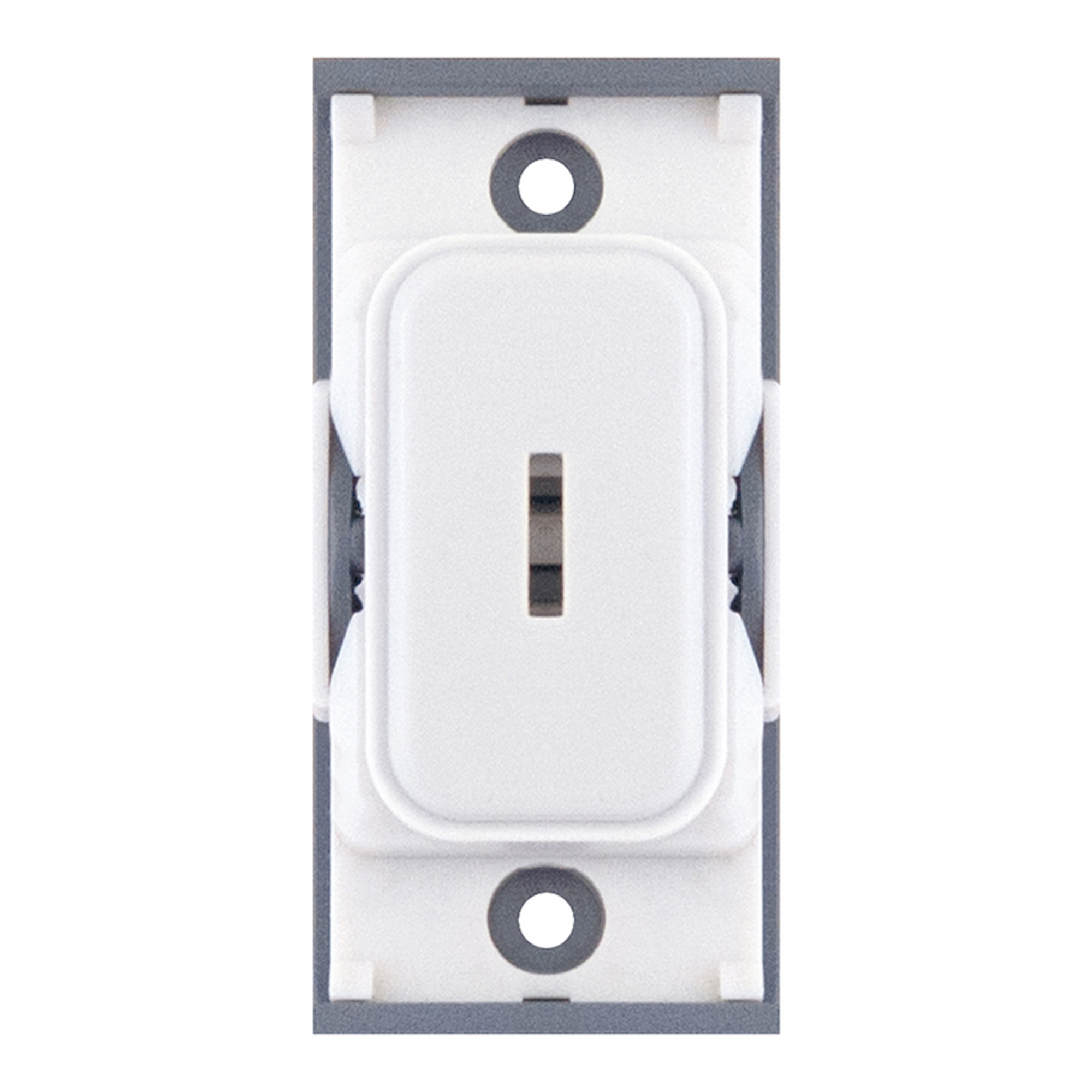 GRID360 Module - 10 Amp DP Key Switch -  Selectric GRID360