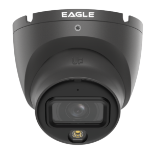 Qvis 6MP Smart Dual Light Fixed-focal Eyeball Network Camera (Grey)