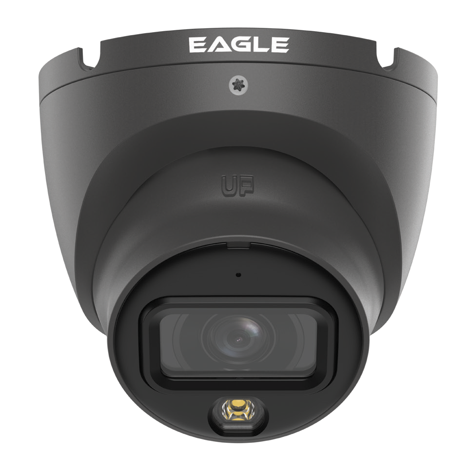 Qvis 6MP Smart Dual Light Fixed-focal Eyeball Network Camera (Grey)