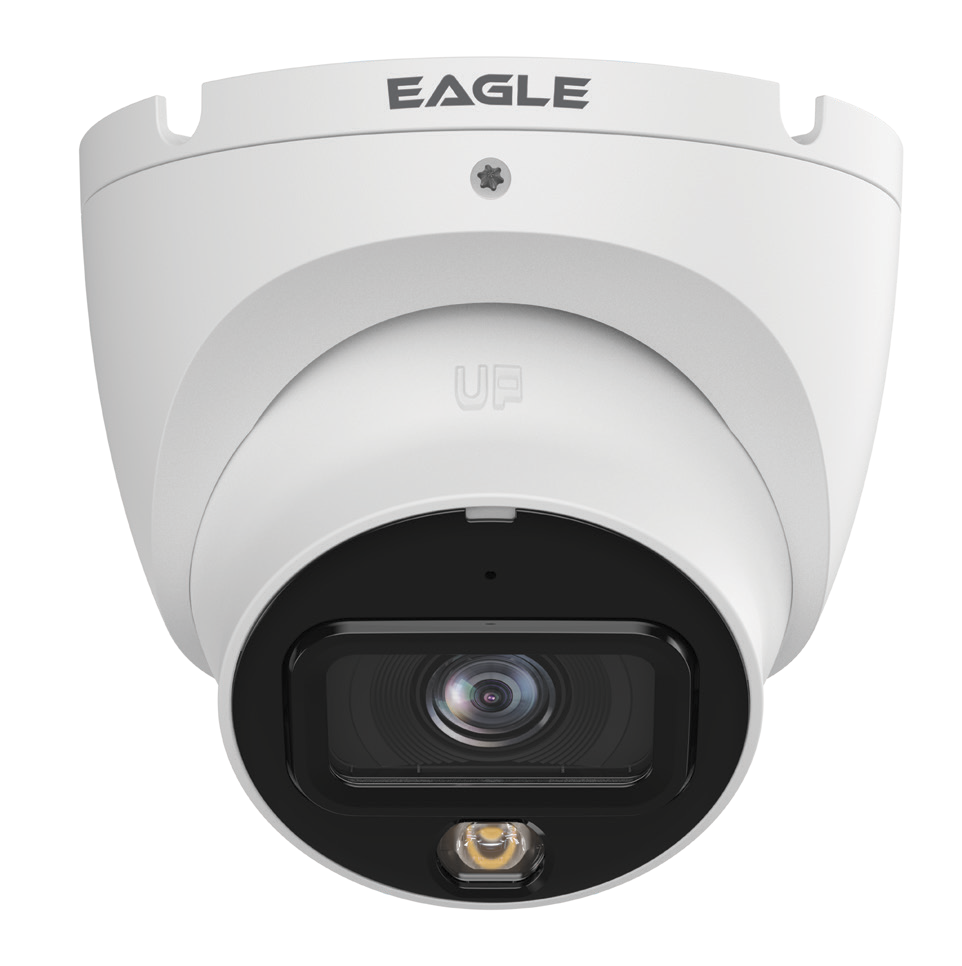 Qvis 6MP Smart Dual Light Fixed-focal Eyeball Network Camera (White)