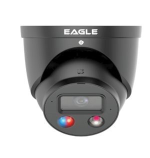 Qvis 4K/8MP Smart Dual Light Fixed-focal Eyeball Network Camera (Grey)