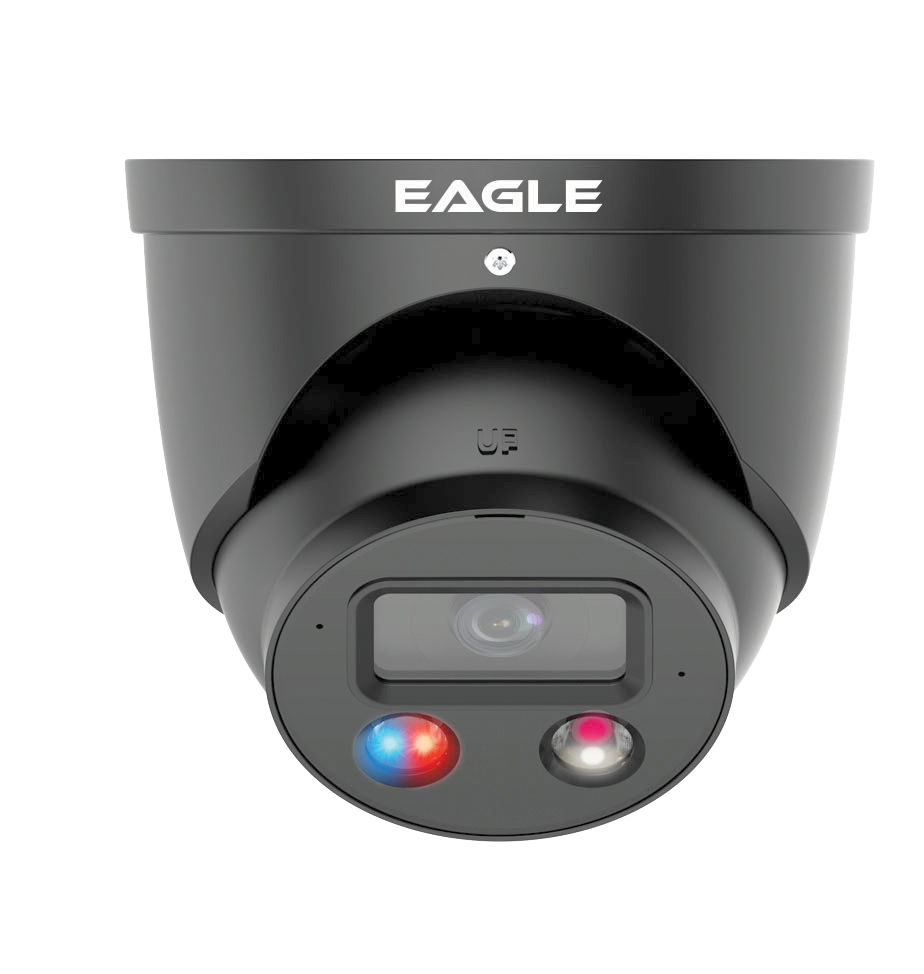 Qvis 4K/8MP Smart Dual Light Fixed-focal Eyeball Network Camera (Grey)