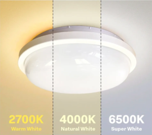 Ecolux All in One Bulkhead - IP65